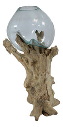 Large 28"H Bali Handicraft Driftwood With Molten Glass Bowl Vase Aquarium Decor