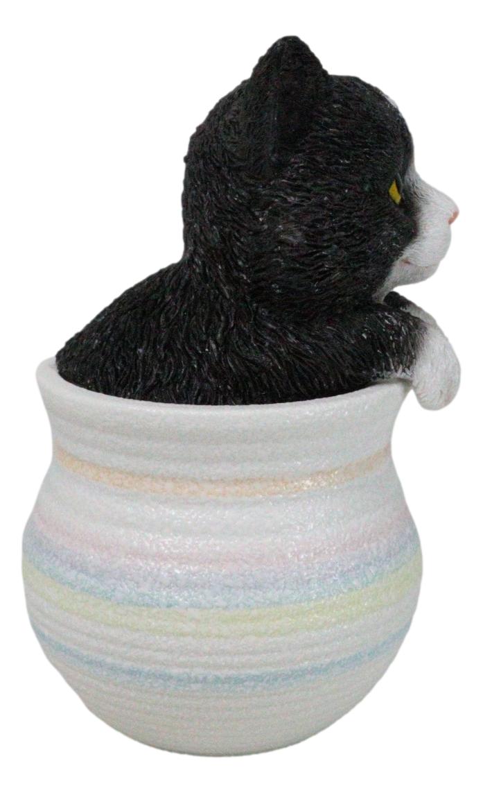 Lifelike Black And White Tuxedo Cat In Pastel Artsy Pot With Glass Eyes Figurine