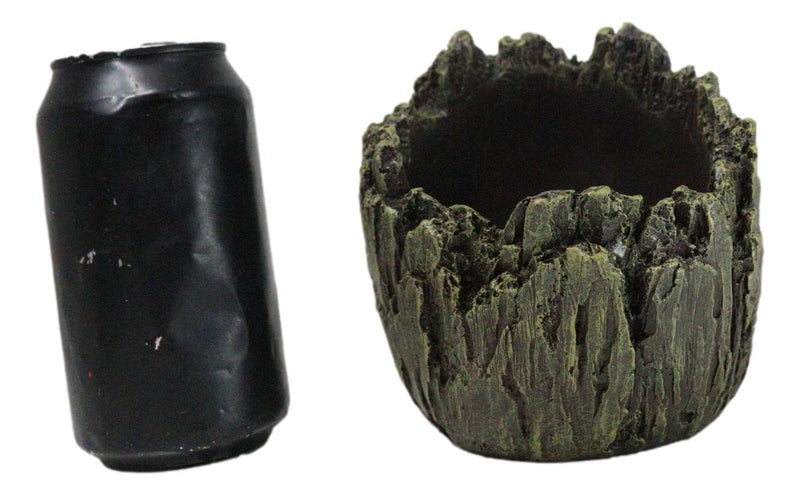 Mythical Greenman Tree Ent Skull Resin Bowl Garden Planter Figurine 7"Long