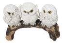 Woodland Wisdom See Hear Speak No Evil Wise Snowy Owls Figurine On Tree Branch