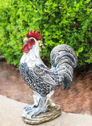 Country Campine Rooster Realistic Farm Rooster Decorative Chicken Sculpture
