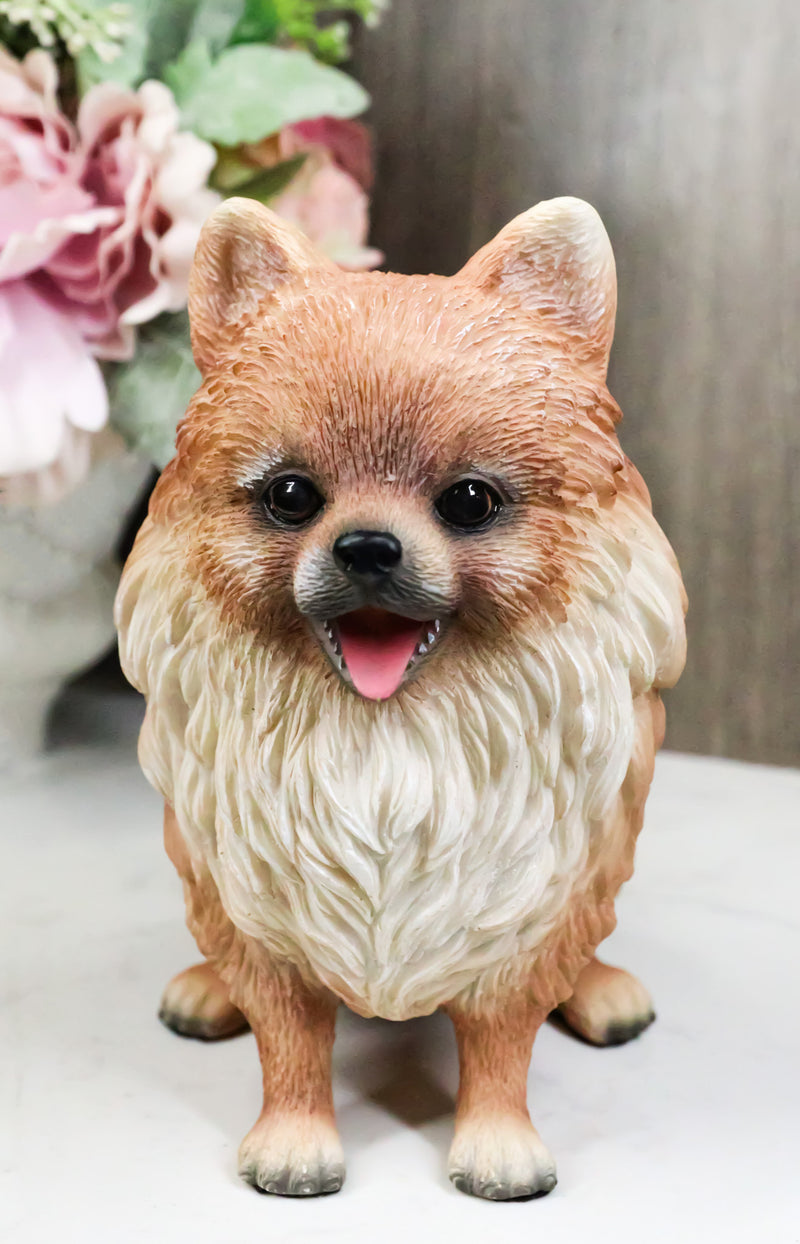 Lifelike Adorable Pet Pal Sitting Pomeranian Spitz Puppy Dog Figurine 6"H