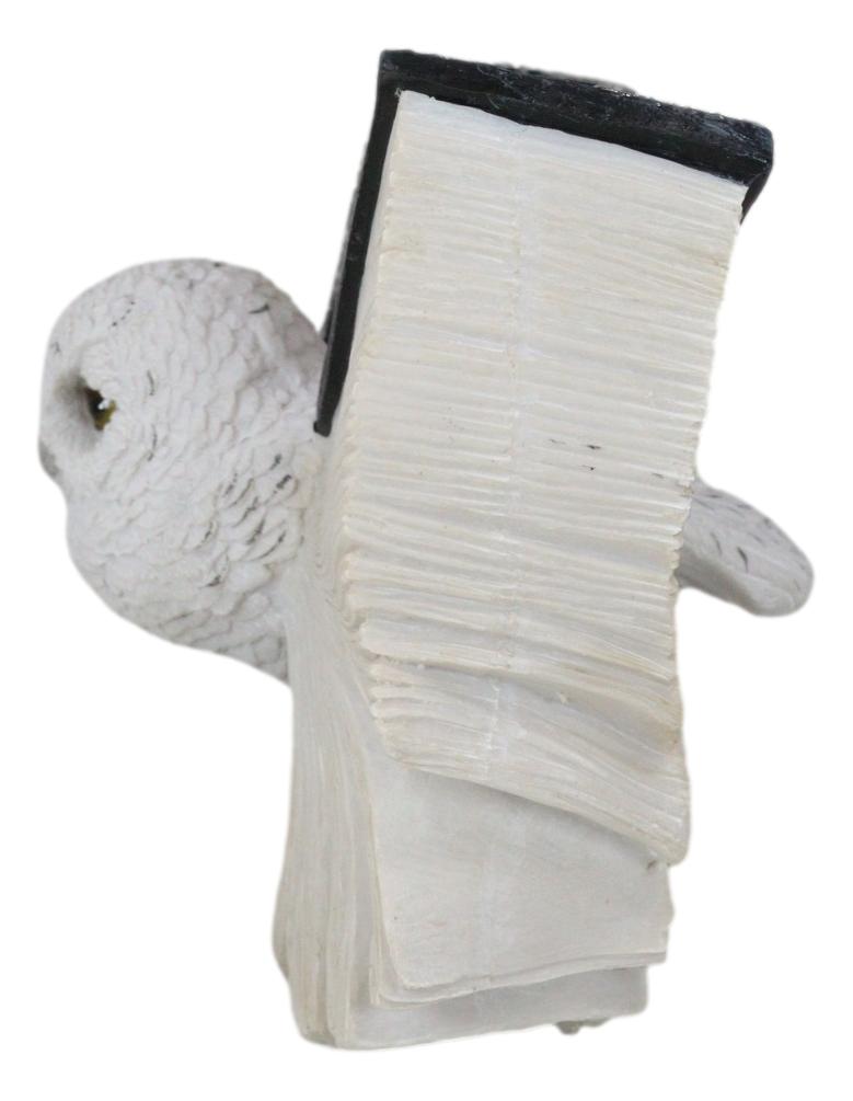 Arctic Magic White Snow Owl Flapping Its Pentagram Spellbook Wings Figurine