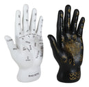 Ebros Psychic Fortune Teller Palmistry Hand Palm Figurine (Black & White Set) - Ebros Gift