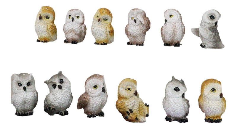 Set Of 12 Colorful Ancient Wisdom Of The Forest Woodlands Owls Mini Figurines