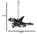 Set Of 6 Nautical Black Orca Whales Ocean Marine Wall Decor Tree Ornaments