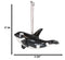 Set Of 6 Nautical Black Orca Whales Ocean Marine Wall Decor Tree Ornaments