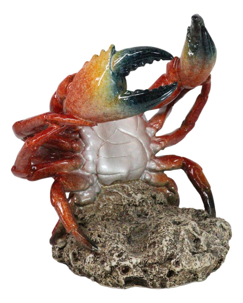 Ocean Marine Giant Stone Anthropod Crab With Black Claws Wine Bottle Holder