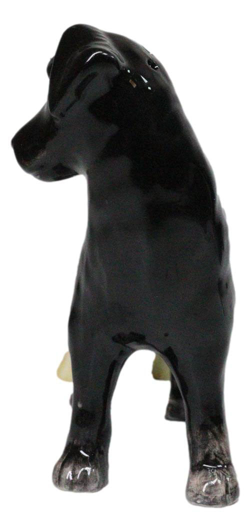 Ceramic Black And Fawn Labrador Dogs Salt And Pepper Shakers Figurine Set