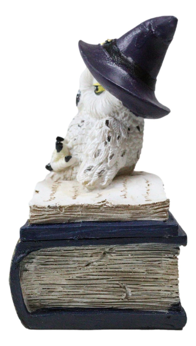 White Snow Owl With Witch Hat Resting On Triple Moon Blue Spell Book Trinket Box