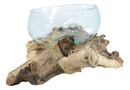 Balinese Natural Driftwood With Large Molten Glass Fruit Succulents Decor Bowl