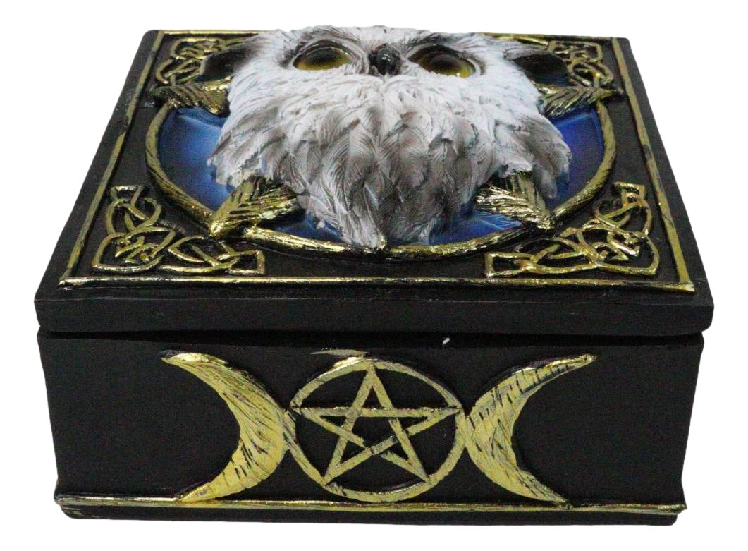 Snowy Owl Trinket Box, 5 x 5 Inch Decorative Keepsake Box with Celtic Knotwork