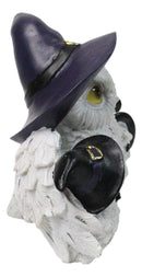 Forest Arctic White Snow Owls Witch Mother with 2 Chicks Family Figurine 5" L