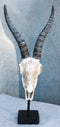 Vintage Tribal Knotwork African Antelope Skull On Museum Pole Mount Base Statue