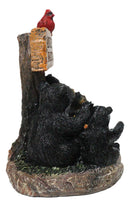 Cabin Companion Black Bear Family Camping Adventure Waits Here Sign Figurine