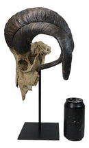 Large Alien Mutated Quad Horns Ram Skull Head Sculpture On Museum Stand 16.25"H