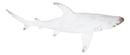 Nautical Ocean Marine Great White Shark Swimming Antiqued White Figurine 19.5"L