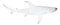 Nautical Ocean Marine Great White Shark Swimming Antiqued White Figurine 19.5"L