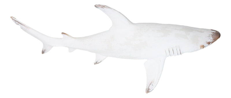 Nautical Ocean Marine Great White Shark Swimming Antiqued White Figurine 19.5"L