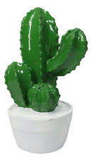 Southwest Desert Plains Whimsical Green Aloe Cactus Money Savings Piggy Bank