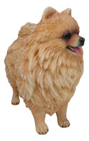 Lifelike Adorable Pet Pal Pomeranian Puppy Dog Standing Figurine