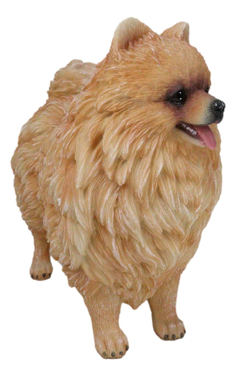 Lifelike Adorable Pet Pal Pomeranian Puppy Dog Standing Figurine