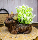 Rustic Western Scottish Highlands Cattle Cow Wine Holder Container Pot Holder 9"