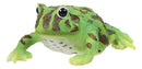 Realistic Lithobates Clamitans Amphibian Green Frog Decorative Figurine