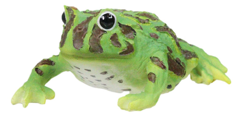 Realistic Lithobates Clamitans Amphibian Green Frog Decorative Figurine
