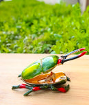 Green Stag Beetle Bug Enameled Pewter Austrian Crystals Trinket Jewelry Box