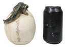 Ossuary Macabre Gothic Jointed Skull with Perching Crocodile Gator Figurine