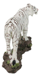 Apex Jungle Predator Prowling Fierce Siberian White Bengal Tiger Figurine