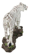 Apex Jungle Predator Prowling Fierce Siberian White Bengal Tiger Figurine