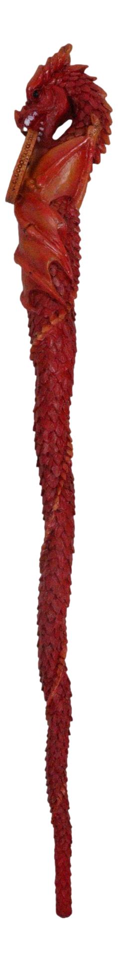 Water Fire Wind Earth Set Of 4 Elemental Dragon Fantasy Cosplay Magic Wands