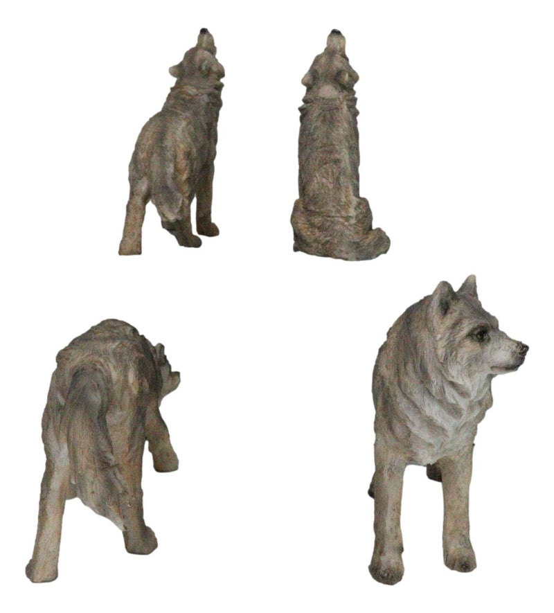 Set Of 4 Mystical Forest Woodland Alpha Gray Wolf Howling And Tracking Figurines