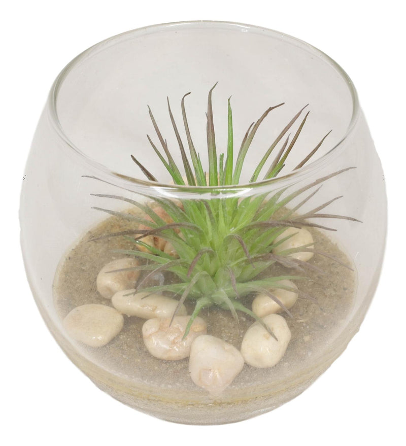 Set Of 6 Realistic Artificial Botanica Succulents Plants In Round Glass Pots