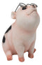 Adorable Realistic Animal Farm Napoleon Fat Piglet Pig Wearing Glasses Figurine