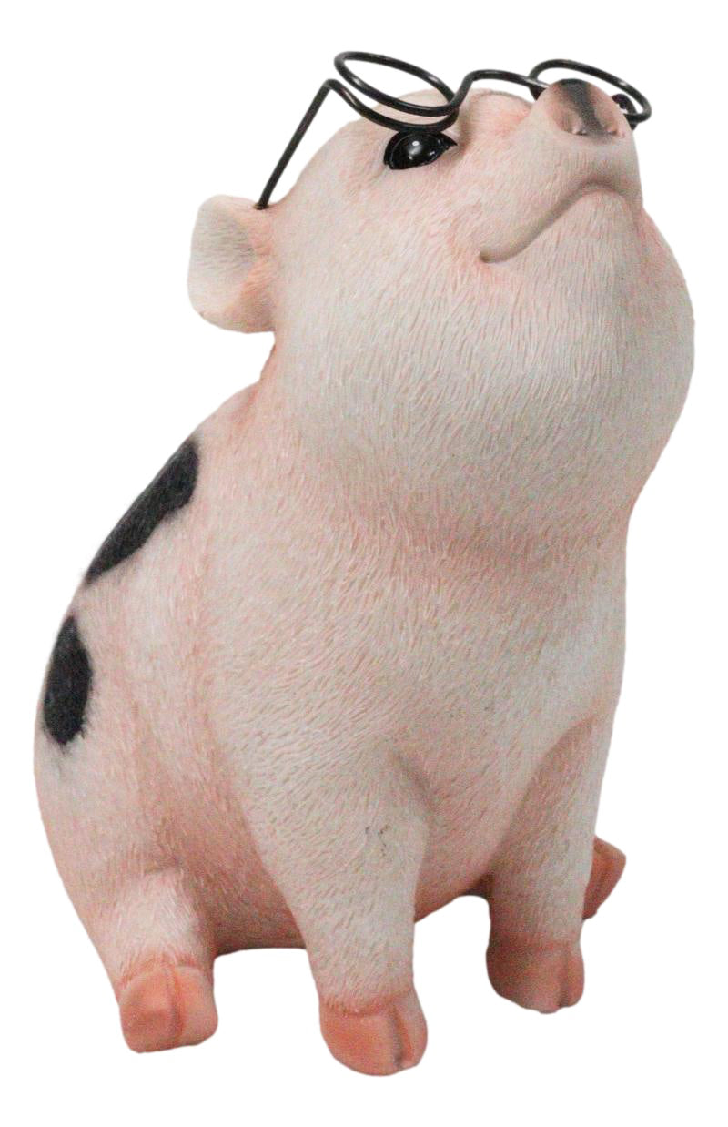Adorable Realistic Animal Farm Napoleon Fat Piglet Pig Wearing Glasses Figurine