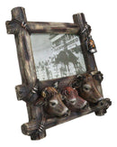Western Country Rustic Farm Cattle Cow Bulls Barnwood Lantern Picture Frame 6x4