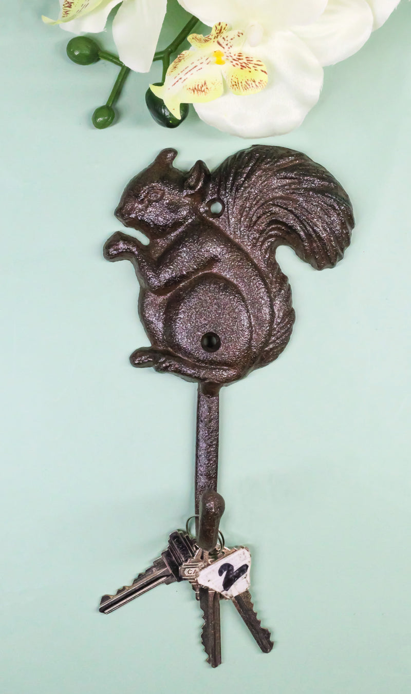 Pack Of 2 Cast Iron Rustic Whimsical Tree Squirrel Chipmunk with Acorn Wall Hook