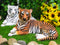 Pair Of Large Siberian And Bengal Tiger Resting 15.5"L Statue Home Garden Decor