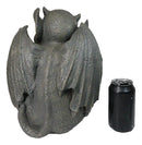 Gothic Stoic Warrior Notre Dame Gargoyle Shield Bearer Chimera Figurine 12"H