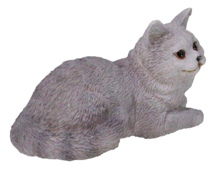 Realistic Feline British Shorthair Grey Kitty Cat Kitten Resting Mini Figurine