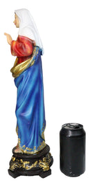 Catholic Church Sacred Heart of Mary Statue Devotion of Virgin Madonna 17"H