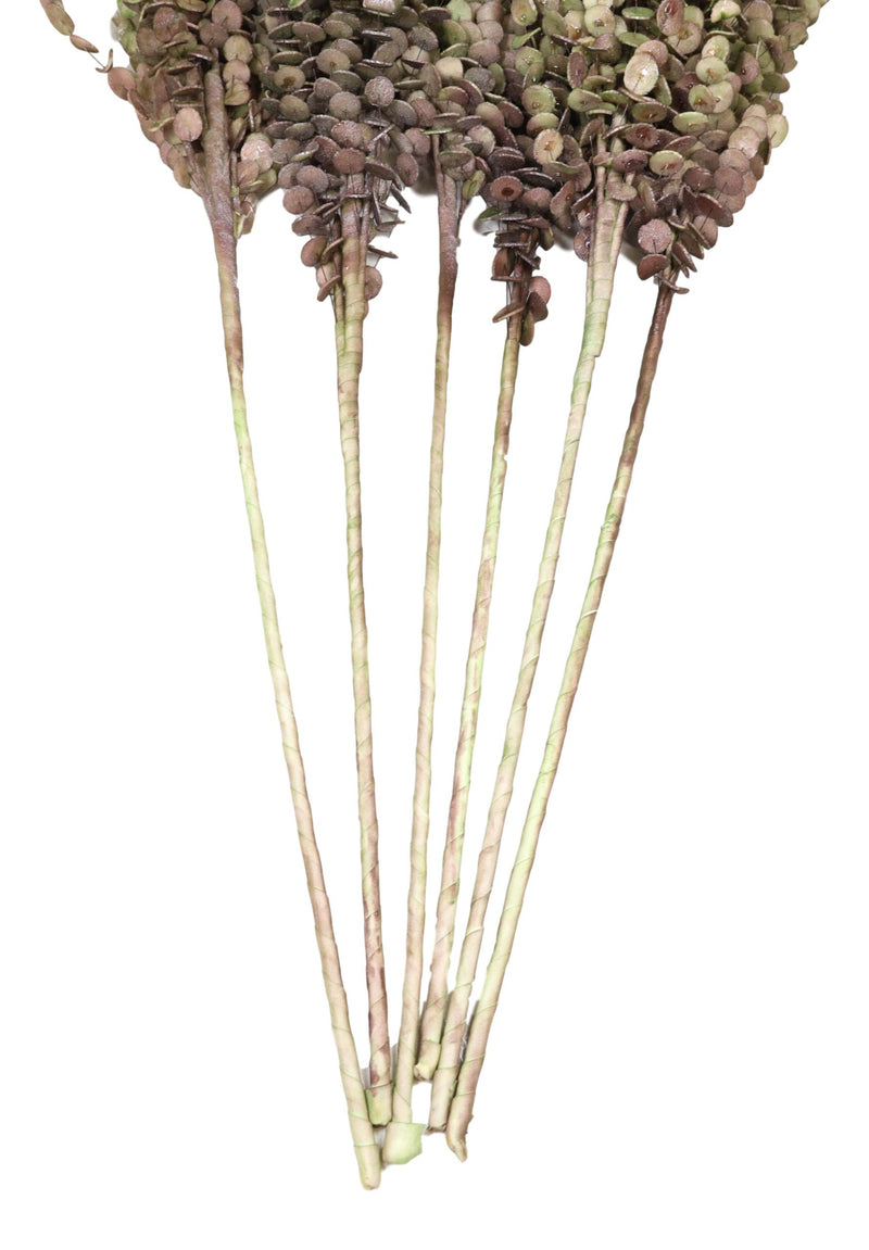 Set of 6 Realistic Artificial Botanica Shrubs Faux Plants Fern Grass Leaf Stems
