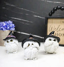 See Hear Speak No Evil Baby White Owls with Black Witch Hats Figurines Set Of 3