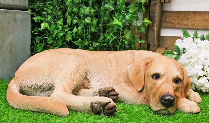 Large Realistic Sleeping Yellow Labrador Retriever Statue 21"H Golden Retriever