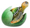 Green Nautical Marine Sea Turtle Hatchling Emerging Out of Egg Mini Figurine