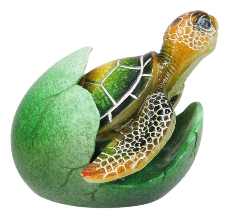 Green Nautical Marine Sea Turtle Hatchling Emerging Out of Egg Mini Figurine