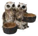 Owl Lovers Couple Salt and Pepper Shaker Holder with Glass Shakers Figurine